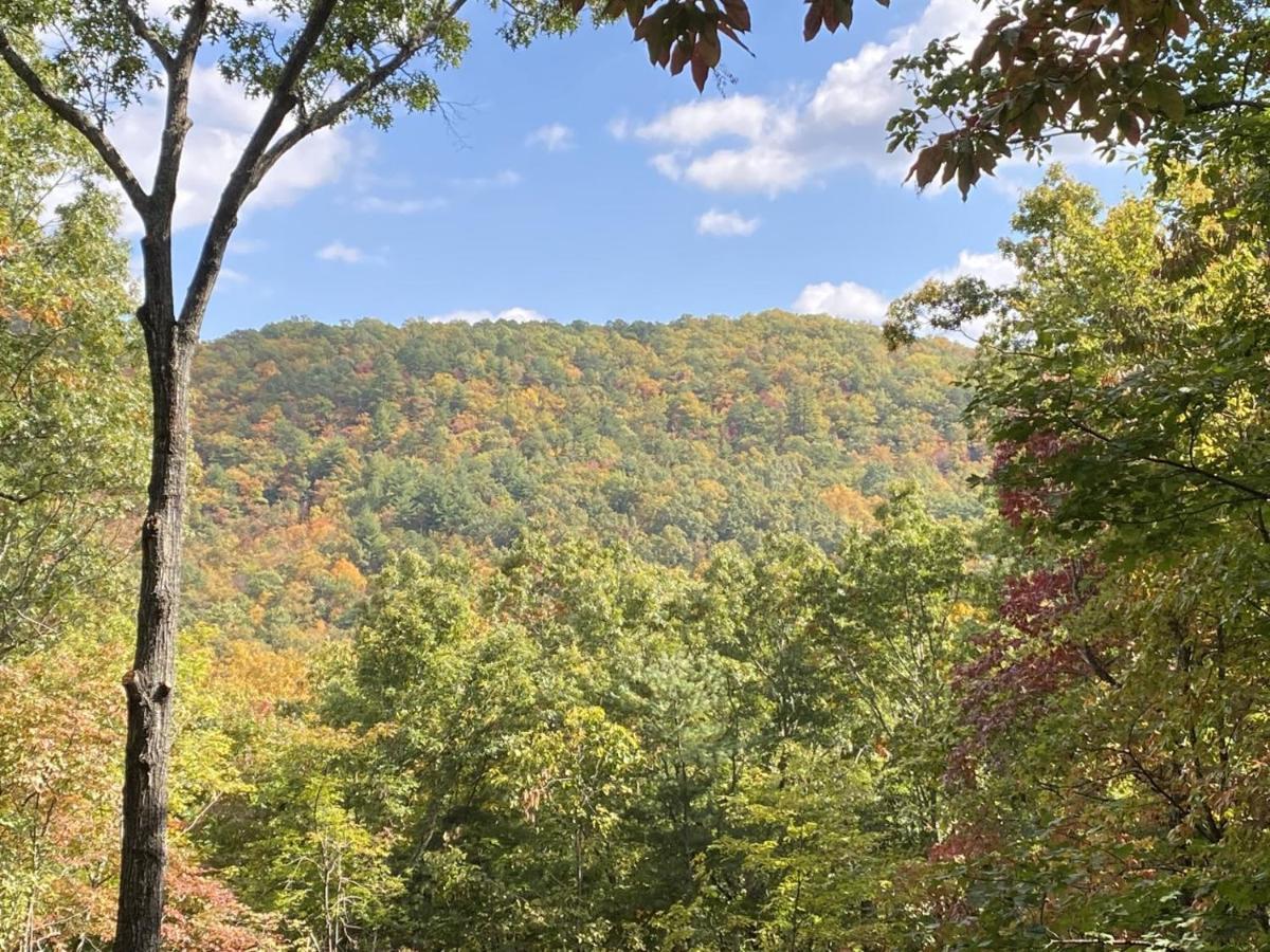 Montreat Round House - Mountain Views, Renovated Villa Black Mountain Dış mekan fotoğraf